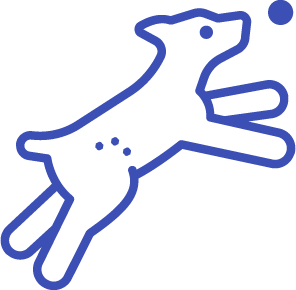 Allenamento personalizzato